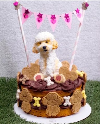Pastel decorado con un perro de fondant y galletas en una celebración.